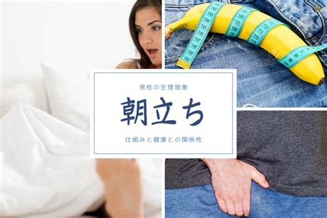 朝立ち しなくなった|男性が朝立ちする理由と原因・朝立ちしない原因と解。